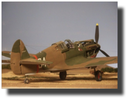 Curtiss P-40 B/C. Scratch built in metal by Rojas Bazán. 1:15 scale.