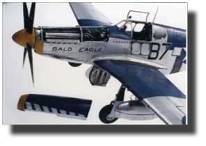 P-51 B Mustang Bald Eagle. Scratch built in metal by Rojas Bazán. 1:15 scale.