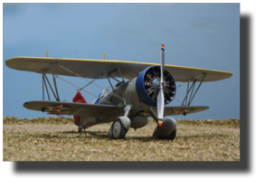 Curtiss BFC-2 Goshawk. Scratch built  by Guillermo Rojas Bazán. 1:24 scale.