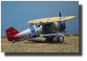 Curtiss BFC-2 Goshawk. Scratch built  by Guillermo Rojas Bazán. 1:24 scale.