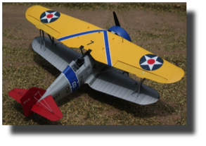 Curtiss BFC-2 Goshawk. Scratch built  by Guillermo Rojas Bazán. 1:24 scale.