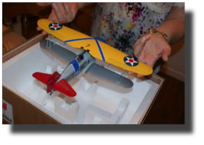 Curtiss BFC-2 Goshawk. Shipping box. Scratch built by Guillermo Rojas Bazán. 1:24 scale. Curtiss BFC-2 Goshawk. Shipping box. Scratch built by Guillermo Rojas Bazán. 1:24 scale.