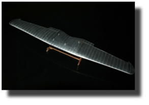 Curtiss BFC-2 Goshawk top wing. Scratch built by Guillermo Rojas Bazán. 1:24 scale. Curtiss BFC-2 Goshawk top wing. Scratch built by Guillermo Rojas Bazán. 1:24 scale.