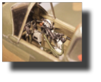 Curtiss P-40 B/C. Scratch built in metal by Rojas Bazán. 1:15 scale. Curtiss P-40 B/C. Scratch built in metal by Rojas Bazán. 1:15 scale.