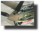 Curtiss P-40 B/C. Scratch built in metal by Rojas Bazán. 1:15 scale. Curtiss P-40 B/C. Scratch built in metal by Rojas Bazán. 1:15 scale.