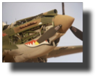 Curtiss P-40 B/C. Scratch built in metal by Rojas Bazán. 1:15 scale. Curtiss P-40 B/C. Scratch built in metal by Rojas Bazán. 1:15 scale.