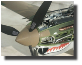 Curtiss P-40 B/C. Scratch built in metal by Rojas Bazán. 1:15 scale. Curtiss P-40 B/C. Scratch built in metal by Rojas Bazán. 1:15 scale.