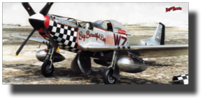 P-51 D Mustang Big Beautiful Doll. Scratch built in metal by Rojas Bazán. 1:15 scale. P-51 D Mustang Big Beautiful Doll. Scratch built in metal by Rojas Bazán. 1:15 scale.