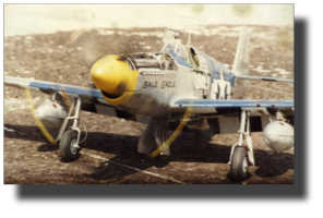 North American P-51 B Mustang. Scratch built in metal by Rojas Bazán. 1:15 scale. North American P-51 B Mustang. Scratch built in metal by Rojas Bazán. 1:15 scale.