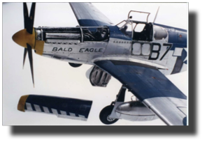 P-51 B Mustang Bald Eagle. Scratch built in metal by Rojas Bazán. 1:15 scale. P-51 B Mustang Bald Eagle. Scratch built in metal by Rojas Bazán. 1:15 scale.